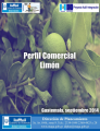 Icon of Perfil Limon