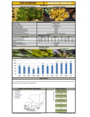 Icon of Banano Criollo de Primera Mayorista