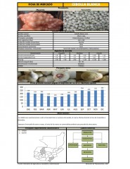 Icon of Cebolla Blanca Seca de Primera Mayorista