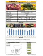 Icon of Guicoy de Primera Mayorista