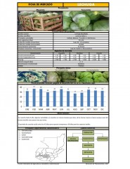 Icon of Lechuga Repollada de Primera Mayorista