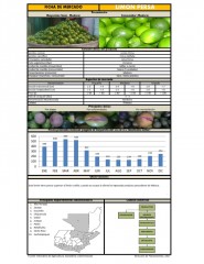 Icon of Limón Persa de Primera Mayorista