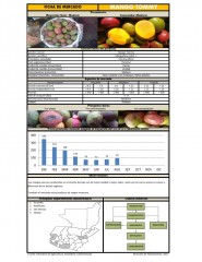 Icon of Mango Tommy de Primera Mayorista