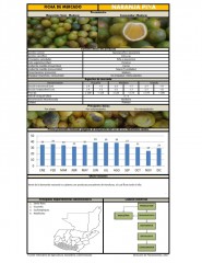 Icon of Naranja Piña de Primera Mayorista