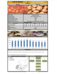 Icon of Papa Redonda Lavada de Primera Mayorista