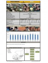 Icon of Piña de Primera Mayorista