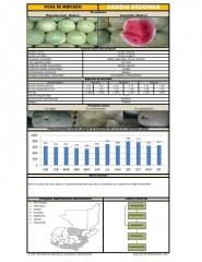 Icon of Sandía Redonda de Primera Mayorista