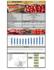 Icon of Tomate de Cocina Grande de Primera Mayorista