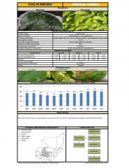 Icon of Arveja China de Primera Mayorista