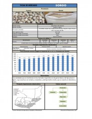 Icon of Sorgo Blanco de Primera Mayorista