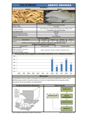 Icon of Arroz Granza De Primera Mayorista (Humeda)