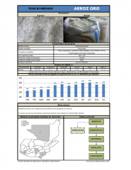 Icon of Arroz Oro De Primera Mayorista