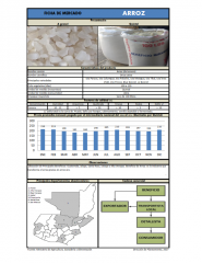 Icon of Arroz Oro De Tercera Mayorista