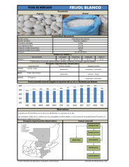 Icon of Frijol Blanco De Primera Mayorista