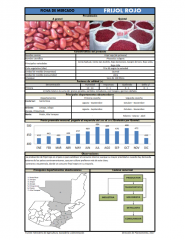 Icon of Frijol Rojo De Primera Mayorista