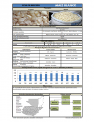 Icon of Maíz Blanco De Primera Mayorista