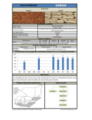 Icon of Sorgo Rojo De Primera Mayorista