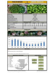 Icon of Limón Criollo De Primera Mayorista