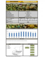 Icon of Naranja Valencia De Primera Mayorista