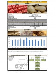 Icon of Papa Larga Lavada De Primera Mayorista