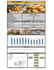 Icon of Papa Loman De Primera Mediana Mayorista