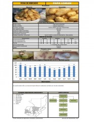 Icon of Papa Loman De Primera Pequeña Mayorista