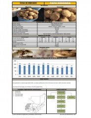 Icon of Papa Redonda Sin Lavar De Primera Mayorista