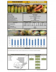 Icon of Papaya Tainung De Primera Mayorista