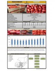Icon of Tomate De Cocina Mediano De Primera Mayorista