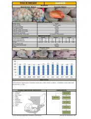 Icon of Zapote De Primera Mayorista