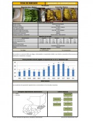 Icon of Banano De Exportación De Primera Mayorista