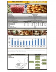 Icon of Cebolla Amarilla De Primera Mayorista