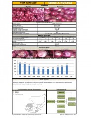 Icon of Cebolla Morada De Primera Mayorista