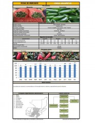 Icon of Chile Jalapeño Grande De Primera Mayorista