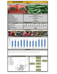 Icon of Chile Jalapeño Mediano De Primera Mayorista