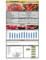 Icon of Chile Pimiento Grande De Primera Mayorista