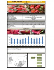 Icon of Chile Pimiento Mediano De Primera Mayorista