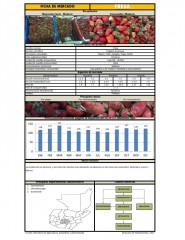 Icon of Fresa De Primera Mayorista