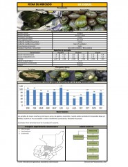 Icon of Guisquil De Primera Mayorista