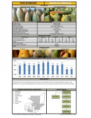 Icon of Papaya Criolla De Primera Mayorista