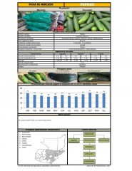 Icon of Pepino De Primera Mayorista