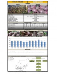 Icon of Remolacha De Primera Mayorista