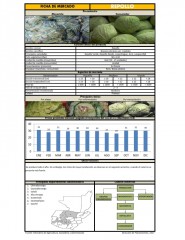 Icon of Repollo De Primera Mayorista