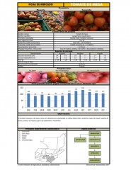 Icon of Tomate De Mesa De Primera Mayorista