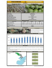 Icon of Aguacate Hass Importado De Primera Mayorista