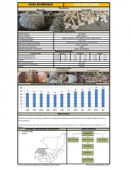 Icon of Ajo Blanco De Primera Mayorista