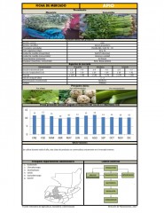 Icon of Apio De Primera Mayorista