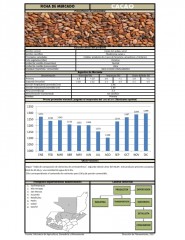 Icon of Cacao De Primera Mayorista