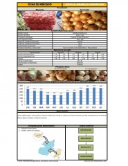 Icon of Cebolla Amarilla Importada De Primera Mayorista