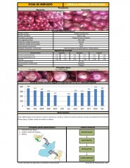 Icon of Cebolla Morada Importada De Primera Mayorista